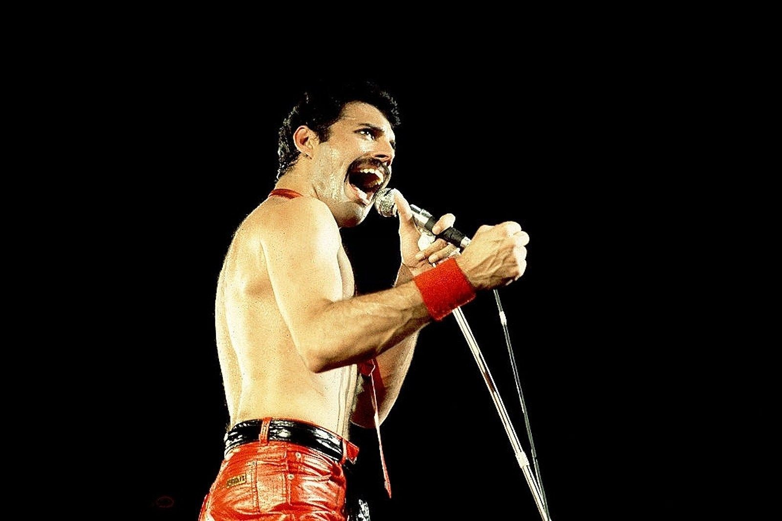 Freddie Mercury Had Secret Daughter, Book Claims